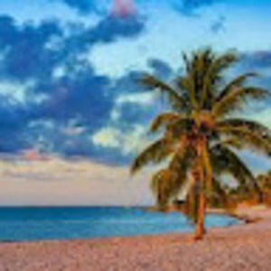 Meet your Posher, Tami